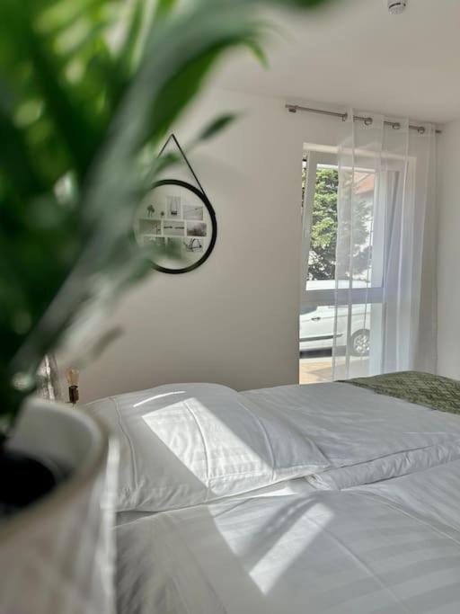 Amao-Pearl I Comfort Suite I 94Qm I Kingsize-Bett I Exklusiv Mit Balkon & Tiefgarage I Aufzug Offenburg Eksteriør bilde